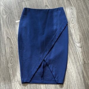 Elegant Blue Women's Skirt